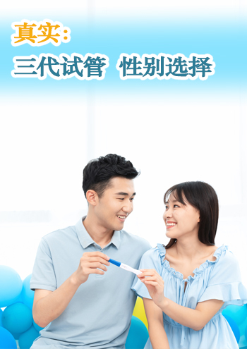 加拿大代孕合同