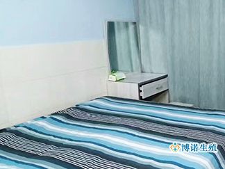 加拿大代母 - 代孕妈妈公寓