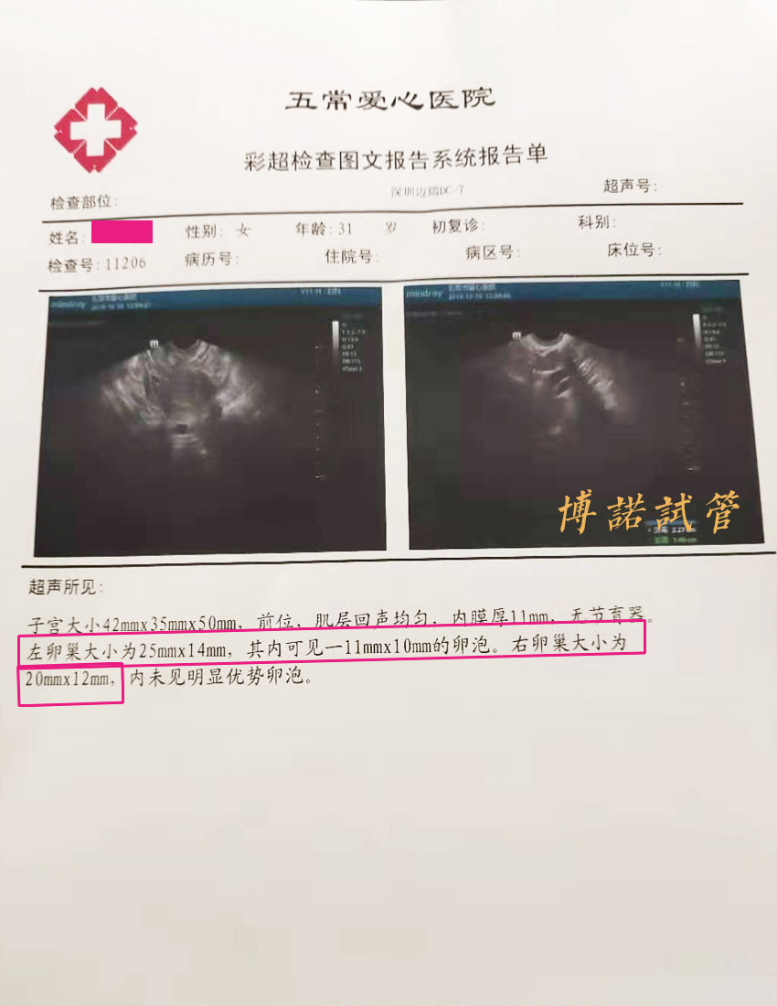加拿大代孕妈妈.jpg