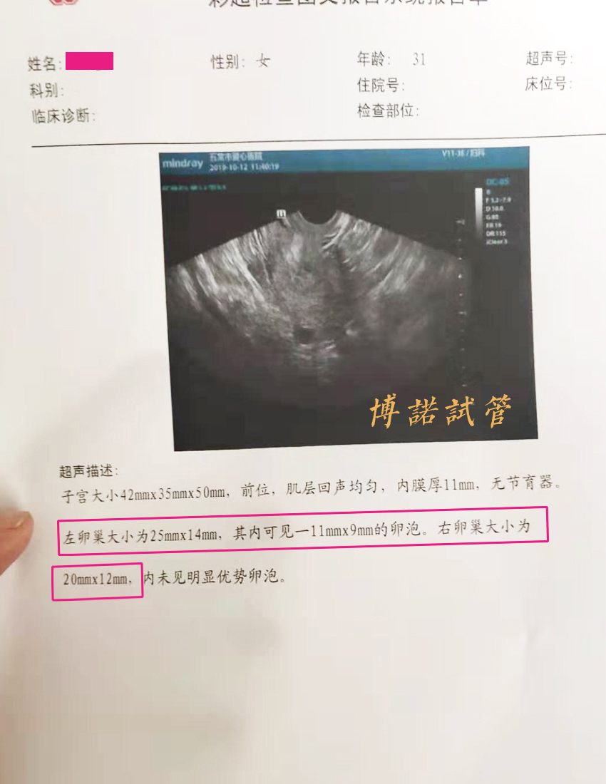 加拿大代孕中介.jpg