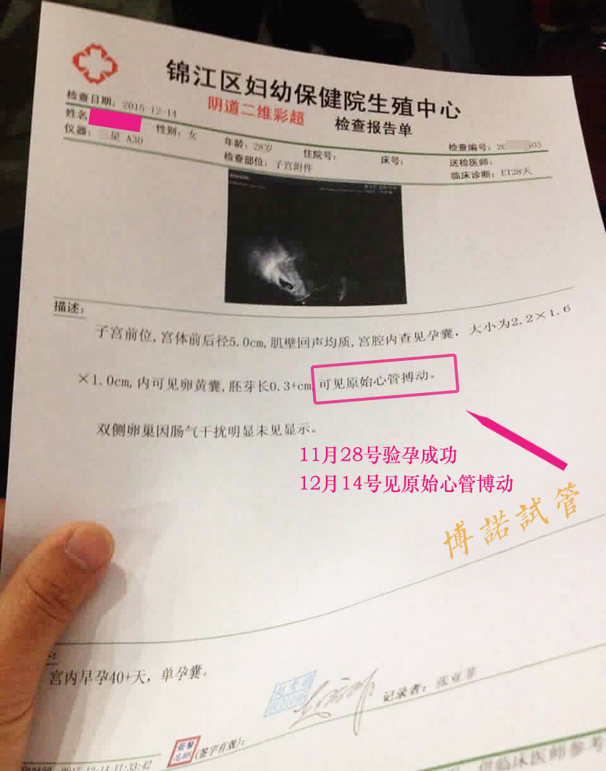 加拿大代孕成功率高.jpg