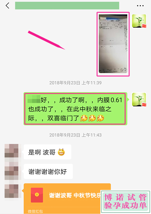 加拿大试管成功 - 内膜0.61成功