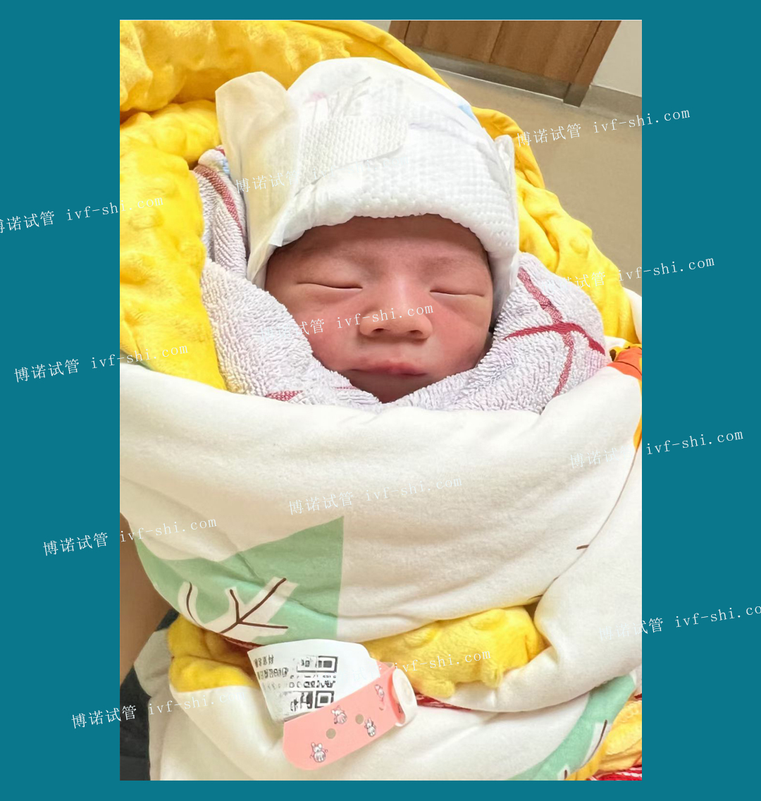加拿大代孕中介.jpg